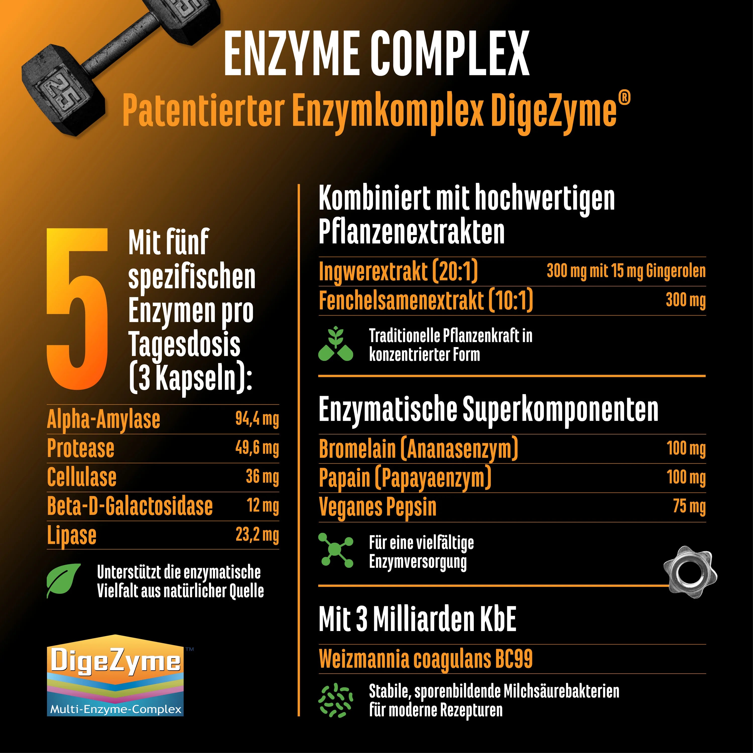 Enzym Komplex 120 Kapseln