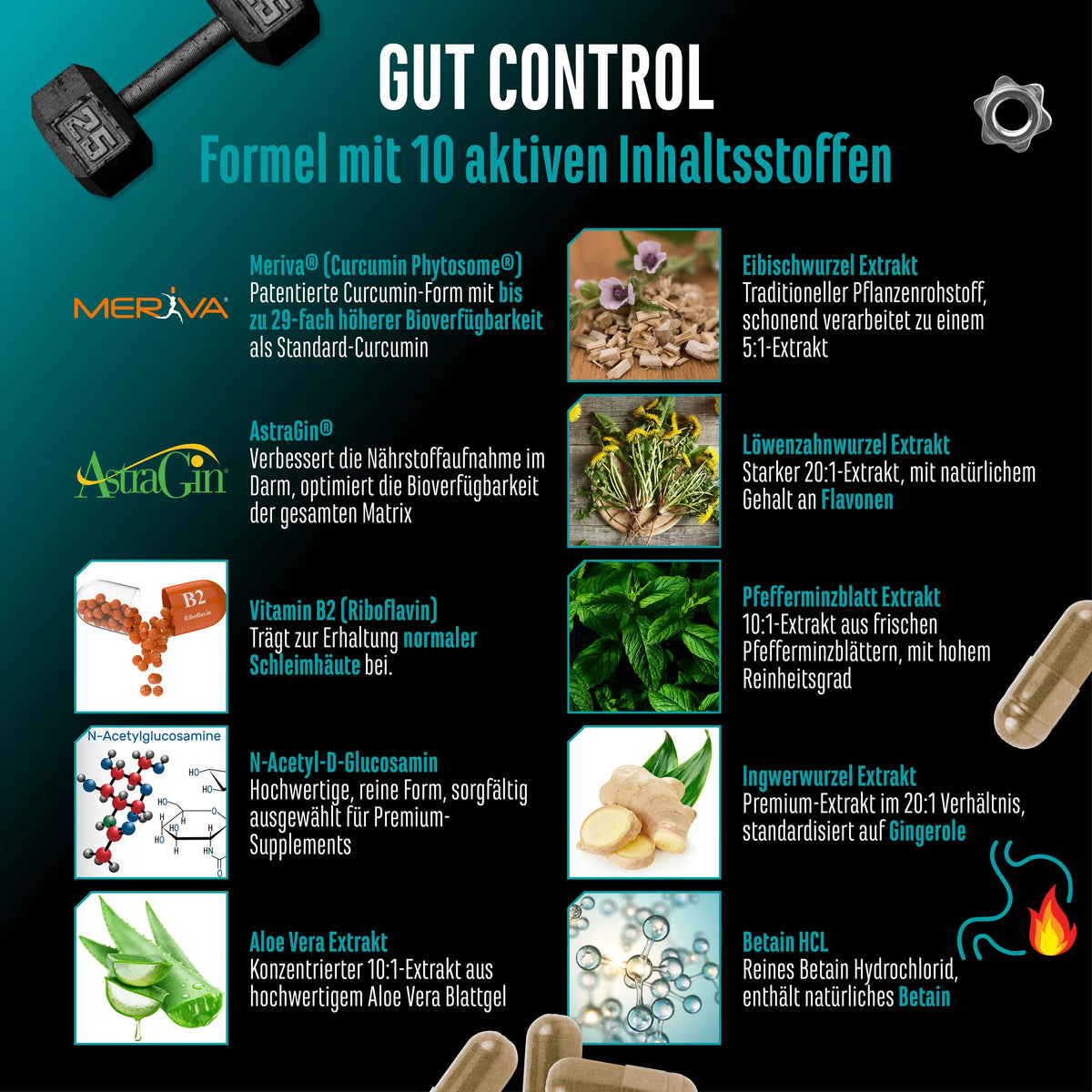 Gut Control 120 Kapseln