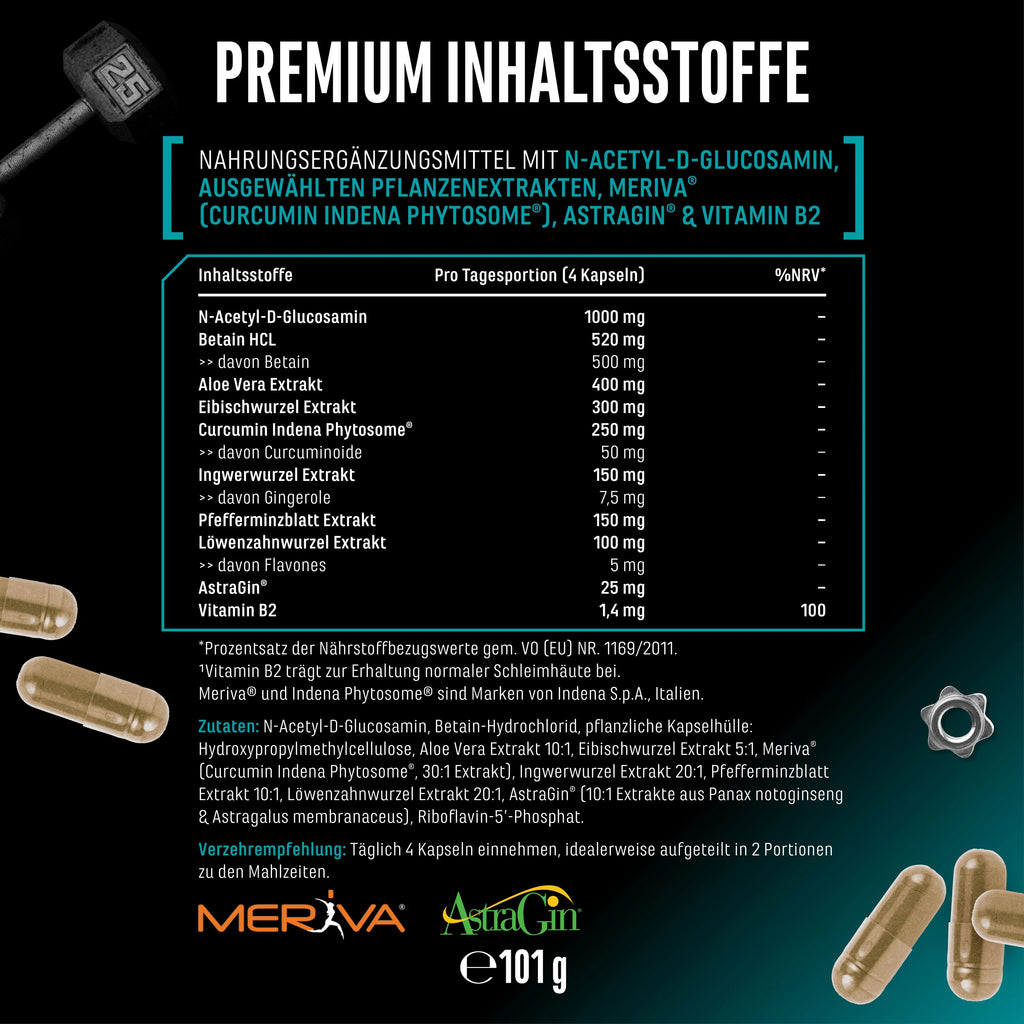 Gut Control 120 Kapseln