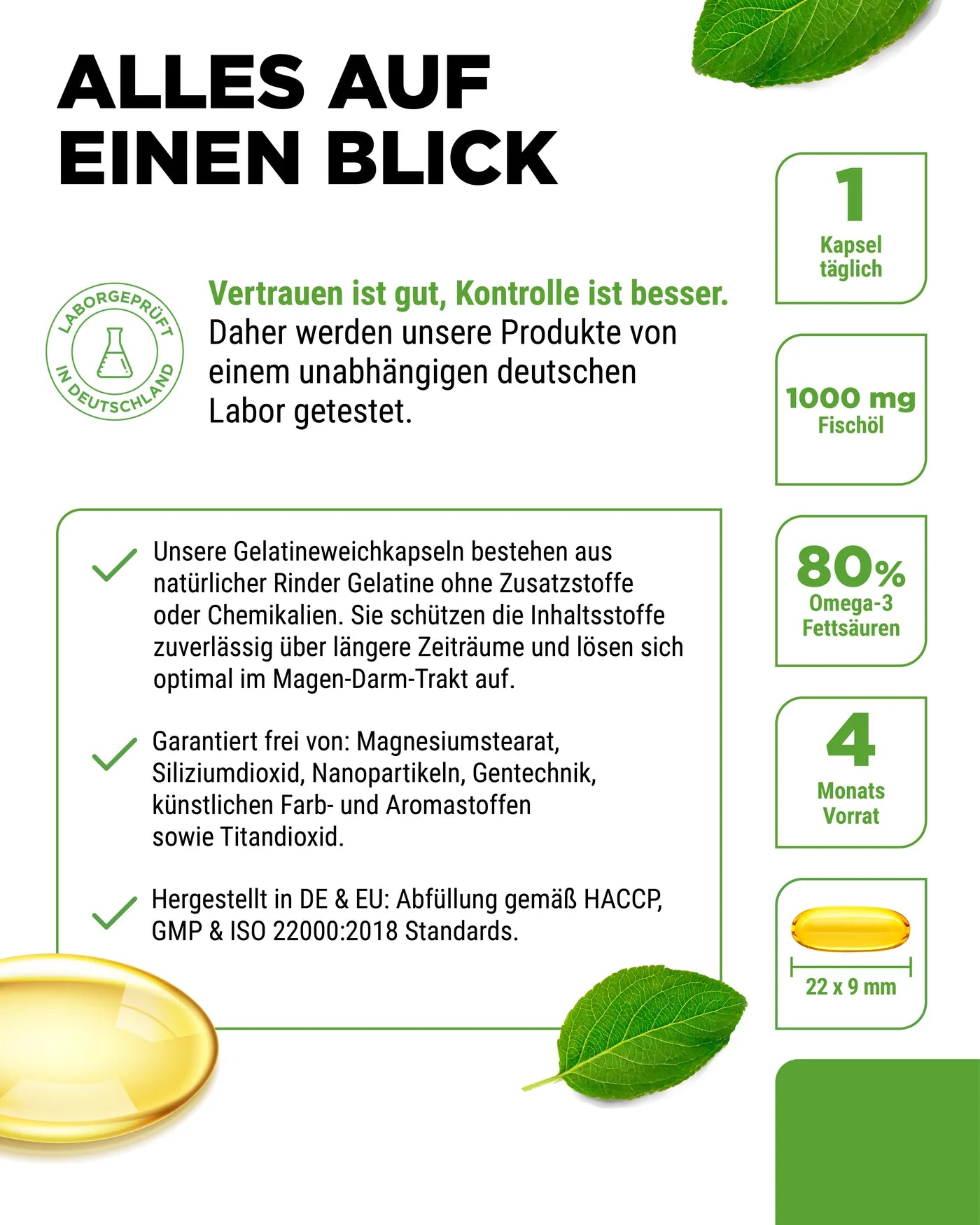 Omega 3 Intenso 365 Kapseln