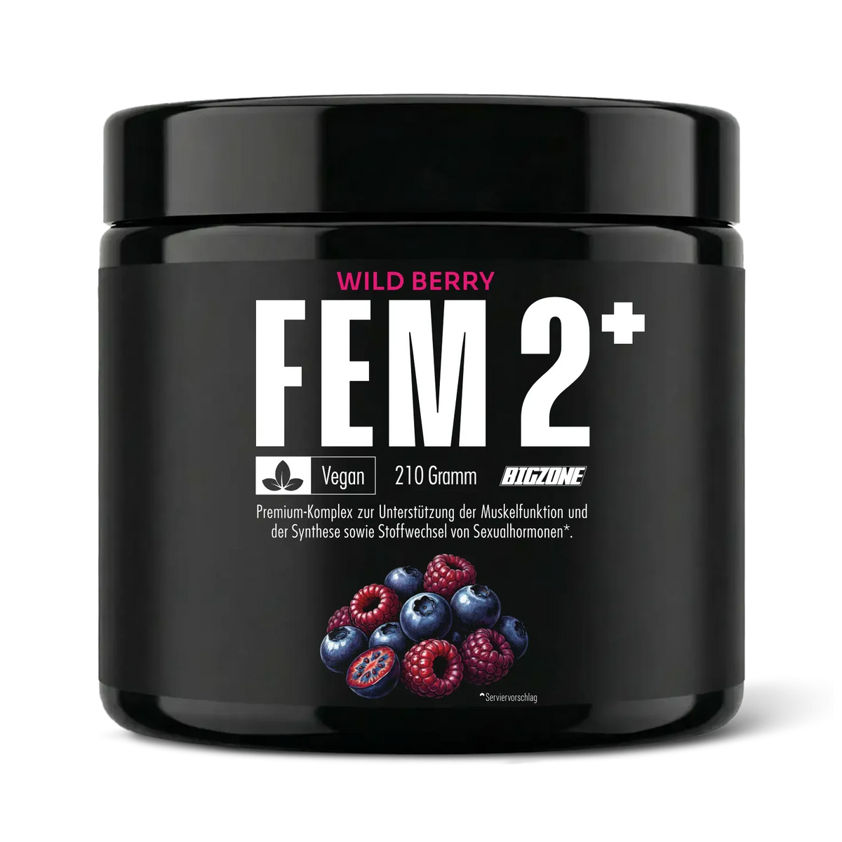 FEM2+