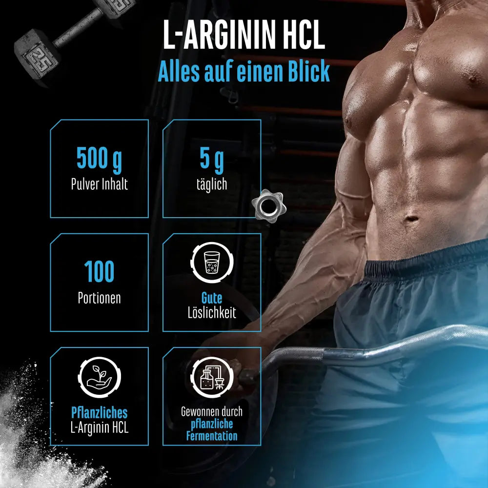 L-Arginin HCL 500g Pulver