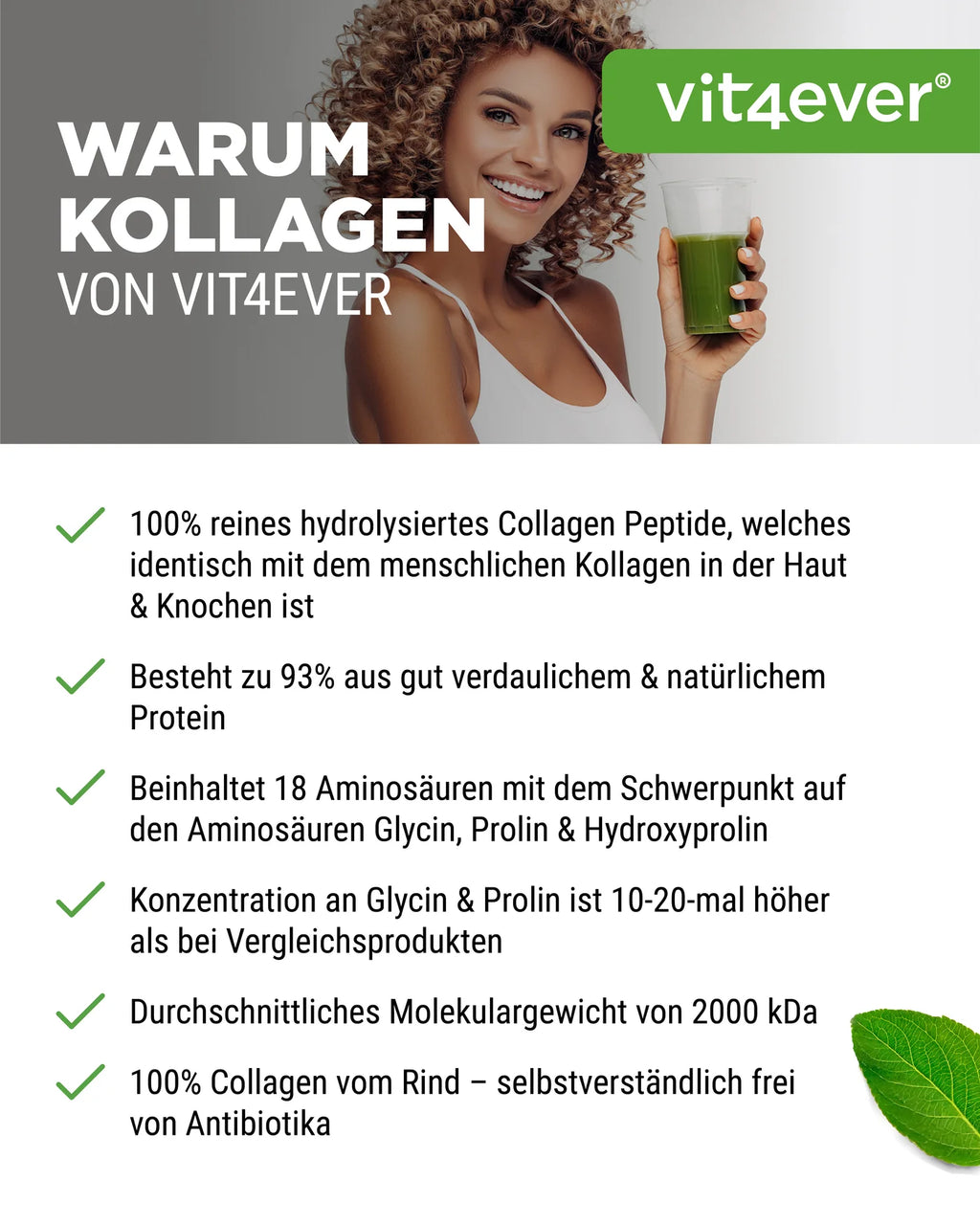 Kollagen Pulver 