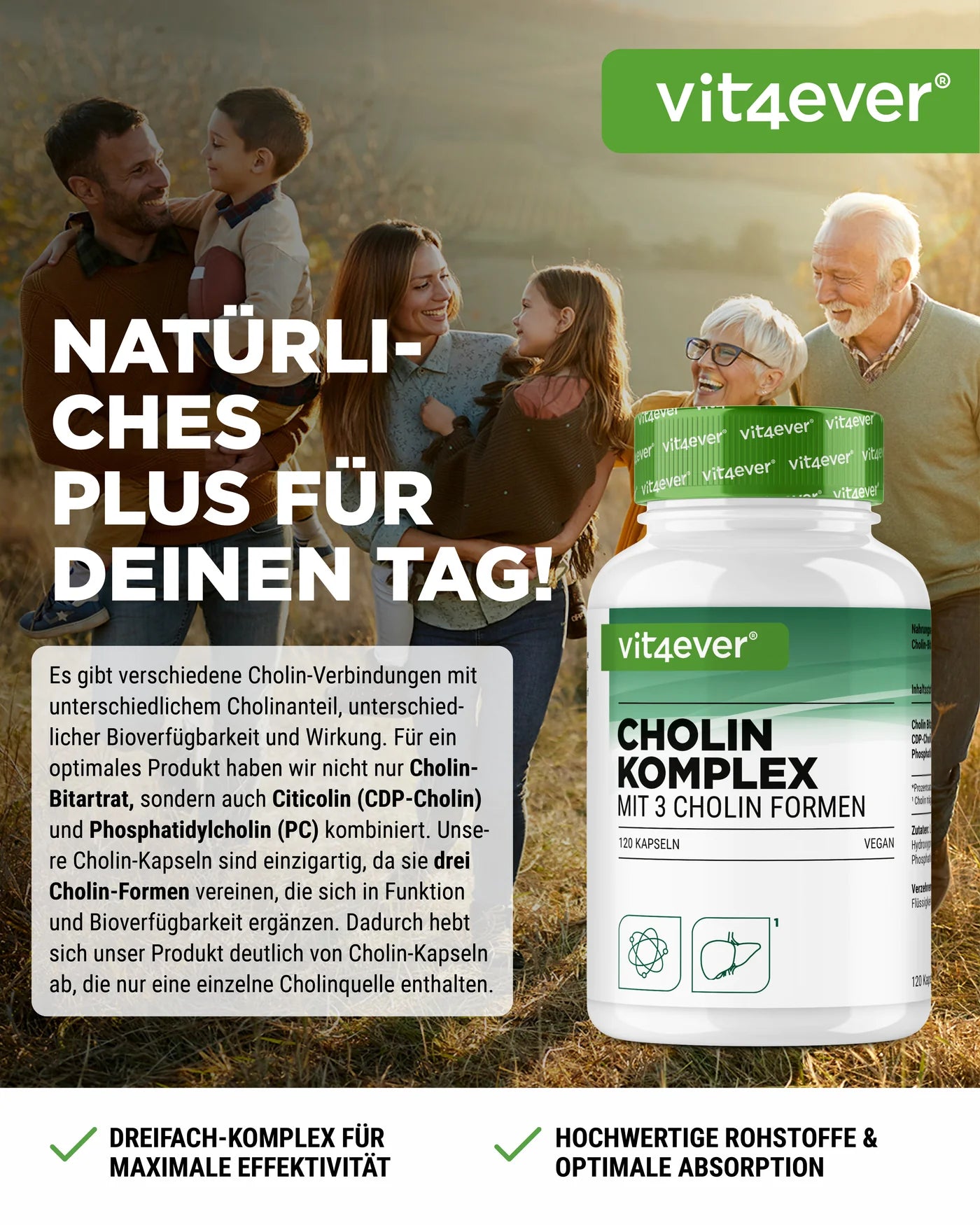 Cholin Komplex 120 Kapseln