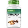 Cordyceps - CS-4 Extrakt 300 Kapseln