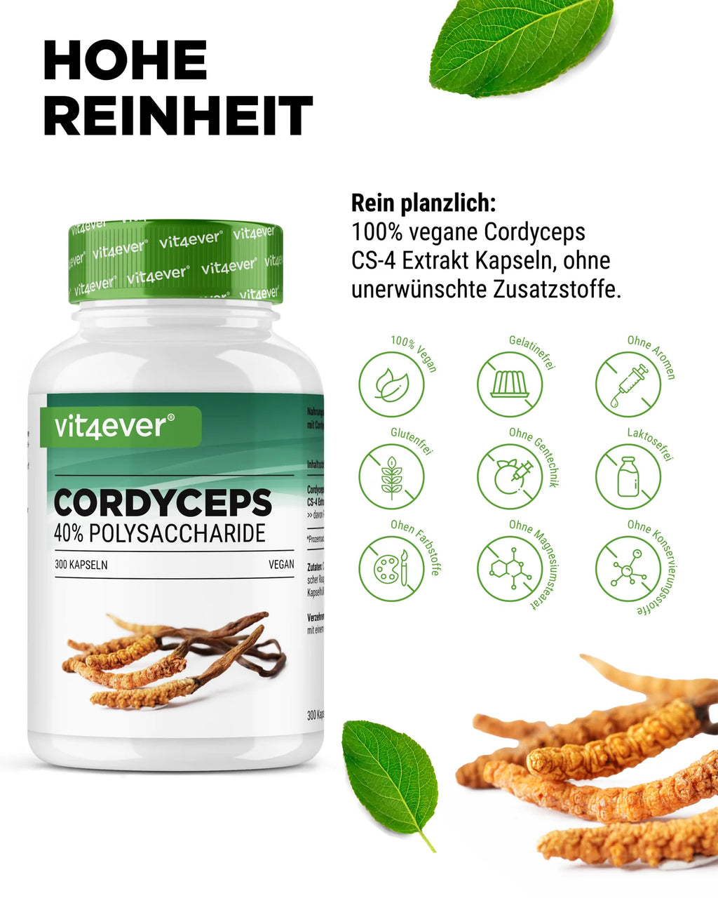 Cordyceps - CS-4 Extrakt 300 Kapseln