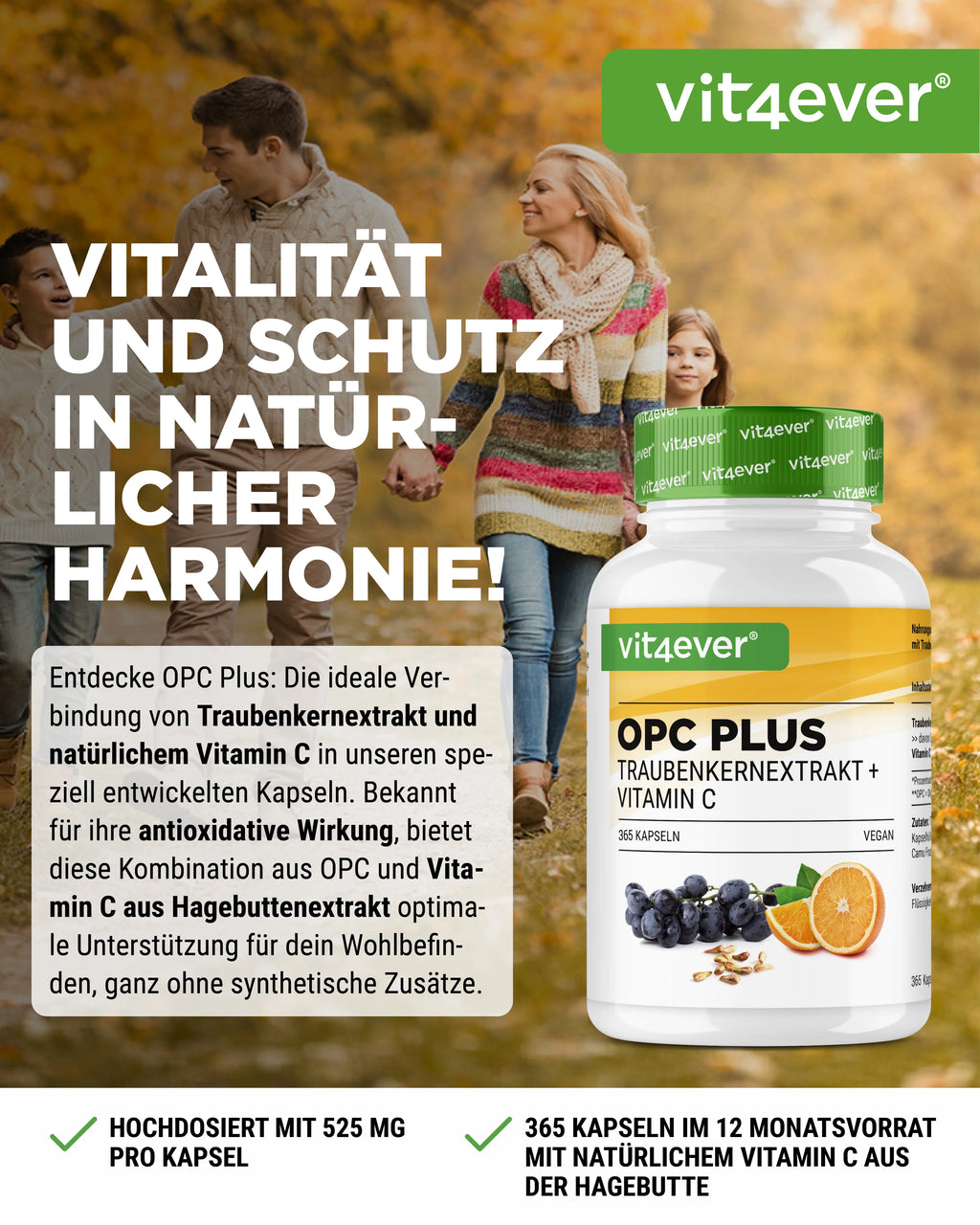 OPC mit Vitamin C 365 Kapseln