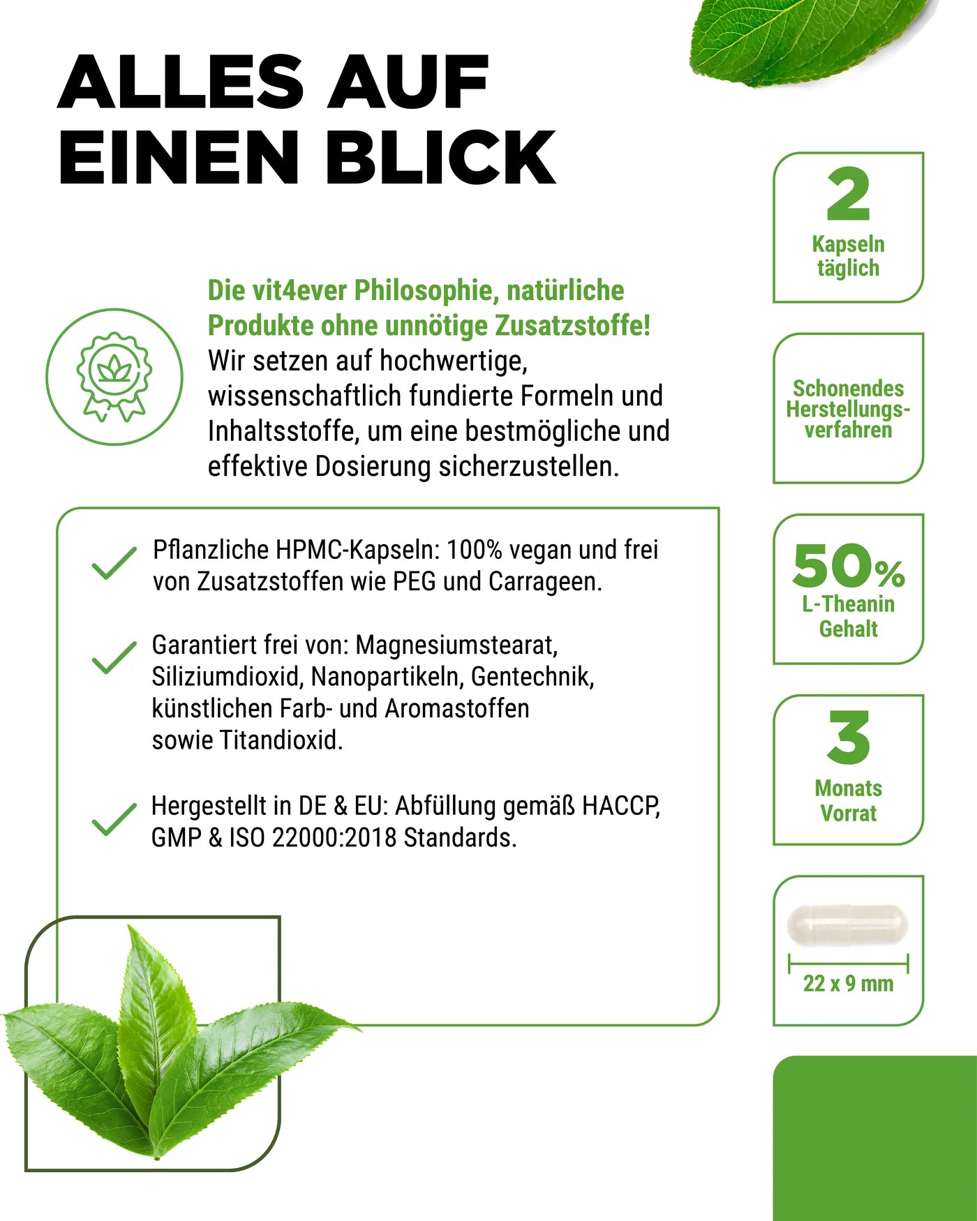 L-Theanin aus Grüntee 180 Kapseln